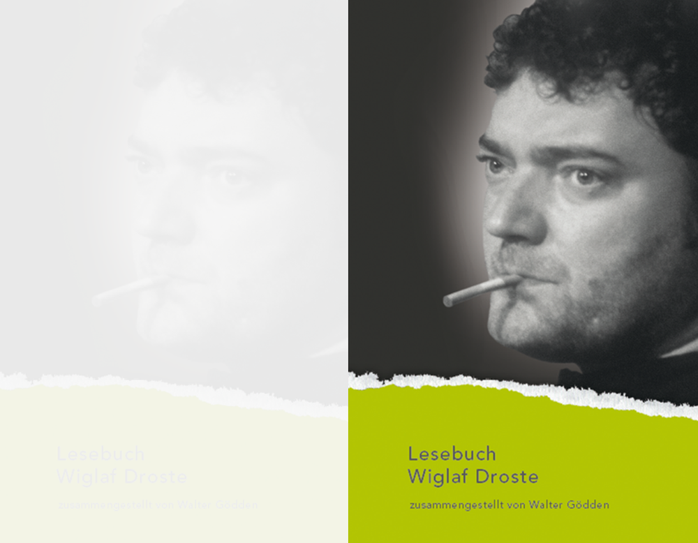 Lesebuch Wiglaf Droste Band 146